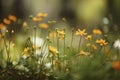 Multicolored cosmos flowers in meadow in spring summer nature against blue sky. Selective soft focus. ai generative.