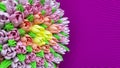 Multicolored cream tulips on a cake on a background of purple corrugated paper