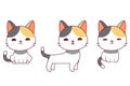 Multicolored cute cat drawing set in different poses