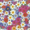 multicolored bloom daisy pattern background