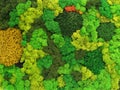 Multicolored decorative preserved preserved moss as wall decor, eco-design concept, live vertical gardening