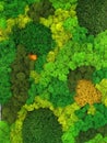 Multicolored decorative preserved preserved moss as wall decor, eco-design concept, live vertical gardening