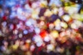 Multicolored defocused bokeh lights red, white, blue, yellow abstract background Royalty Free Stock Photo