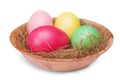 Multicolored Easter eggs Royalty Free Stock Photo