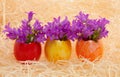 Multicolored easter eggs with flowers