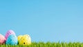 Multicolored Easter eggs in green grass with a solid blue background. Royalty Free Stock Photo