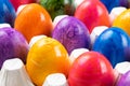 Multicolored Easter eggs lie in a white tray close-up