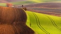 Multicolored European Countryside Spring Landscape With Green Field Of Corn, Wavy Brown Cultivated Plowed Earth And Hunting Tower.