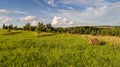 Multicolored European Countryside summer Landscape With Green Field Royalty Free Stock Photo