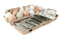 Multicolored farm fresh eggs in a brown egg carton with american money