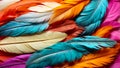 Multicolored feathers closeup background elegance natural textured vibrant