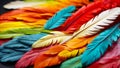 Multicolored feathers closeup background elegance natural textured vibrant tropical