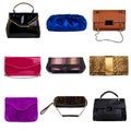 Multicolored female purses-3