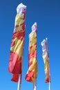 Multicolored festive flags during a holiday