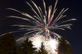 Multicolored fireworks in the dark night