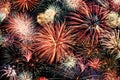 Multicolored fireworks horizontal Royalty Free Stock Photo