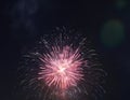 Multicolored fireworks in the night sky. Celebration of Independence Day, New Year and other holidays