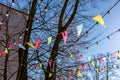 Multicolored flags hanging on tree. decoration outdoor party. Royalty Free Stock Photo