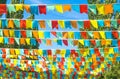 Multicolored flags a triangular shape  against the blue sky and trees. Good background on the theme of a city street holiday Royalty Free Stock Photo