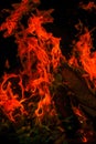 Multicolored flame. Sparks and flames.fiery wallpaper. Variegated flames and colorful sparks close-up.Firewood burning
