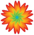 Multicolored flower, element for disign