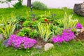 Multicolored flowerbed on a lawn. horizontal shot