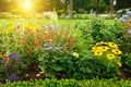 Multicolored flowerbed in park Royalty Free Stock Photo