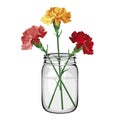 Multicolored flowers carnation in bottle in jar. Yellow, pink and red carnation. Isolated on white.