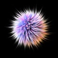 Multicolored Fluffy Ball on Black Background Royalty Free Stock Photo