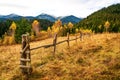 Multicolored forest in beautiful warm autumn and an old collapsed fence Royalty Free Stock Photo