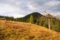 Multicolored forest in beautiful warm autumn and an old collapsed fence next to a dry tree Royalty Free Stock Photo