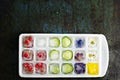 Multicolored frozen ice cubes with fruits, flowers and vegetables on a dark background