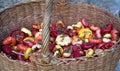 Multicolored gladiolus bulbs in basket