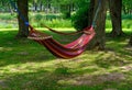 multicolored hammock. set up in the trees for perfect relaxation in the fresh air