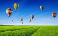 Hot air balloons fly in blue sky over green field. Beautiful summer sunny day, windless weather