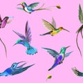 Multicolored hummingbird seamless watercolor pattern