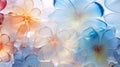 Multicolored ice frosted flowers with muted hues in soft delicate light evoking sense of tranquility