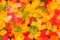 Multicolored jelly candies bears