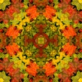 Multicolored square kaleidoscope abstract background illustration of autumn leaves Royalty Free Stock Photo