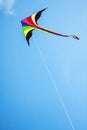 Multicolored kite Royalty Free Stock Photo