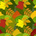 Multicolored leaves pattern Royalty Free Stock Photo