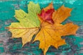 Multicolored leaves on a wooden surface stylized under the dial