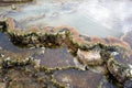 Multicolored limestone deposits in Mammoth Hot Springs in Yellowstone park