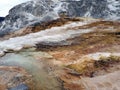 Multicolored limestone deposits in Mammoth Hot Springs in Yellowstone park