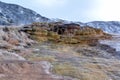 Multicolored limestone deposits in Mammoth Hot Springs in Yellowstone park