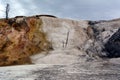 Multicolored limestone deposits in Mammoth Hot Springs in Yellowstone park