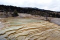 Multicolored limestone deposits in Mammoth Hot Springs in Yellowstone park