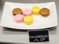 Multicolored macaroon cookies