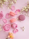 Multicolored macaroon, romantic elegant dessert rose flower on a colored background