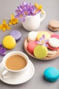 Multicolored macaroons with spring snowdrop crocus flowers and cup of coffee on gray pastel background. side view, close up Royalty Free Stock Photo